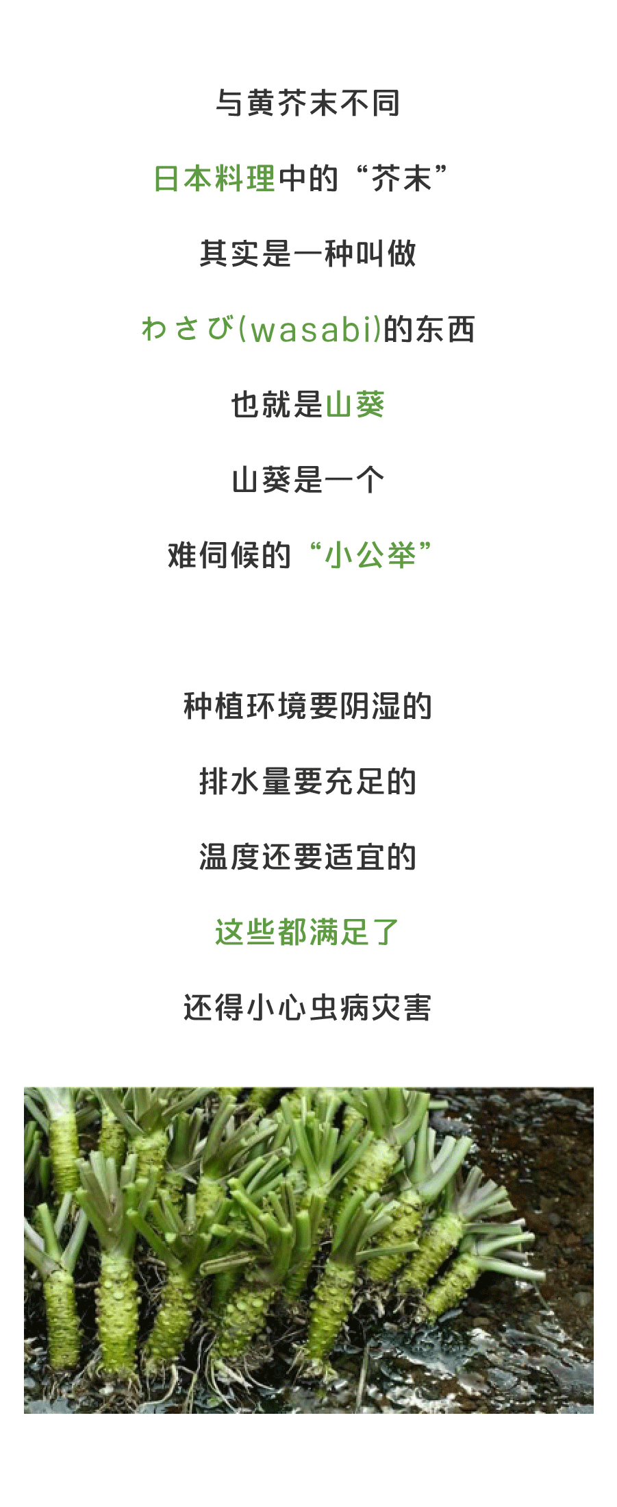 十大外围足球平台app