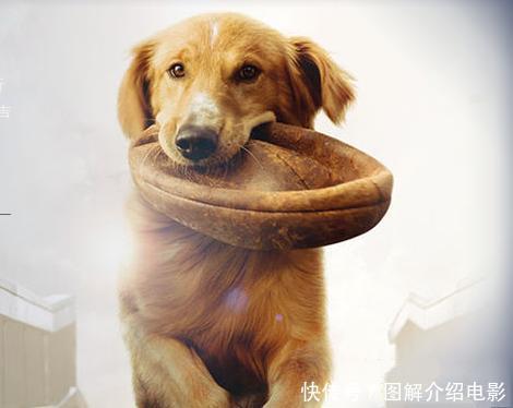 十大外围足球平台app