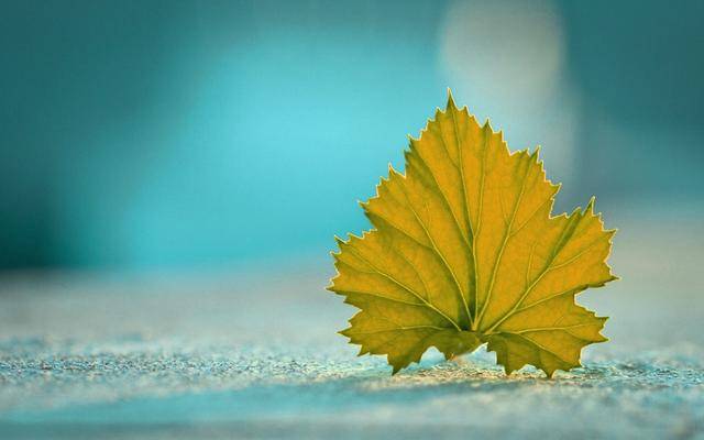 
10月1日“十大外围足球平台app”(图3)