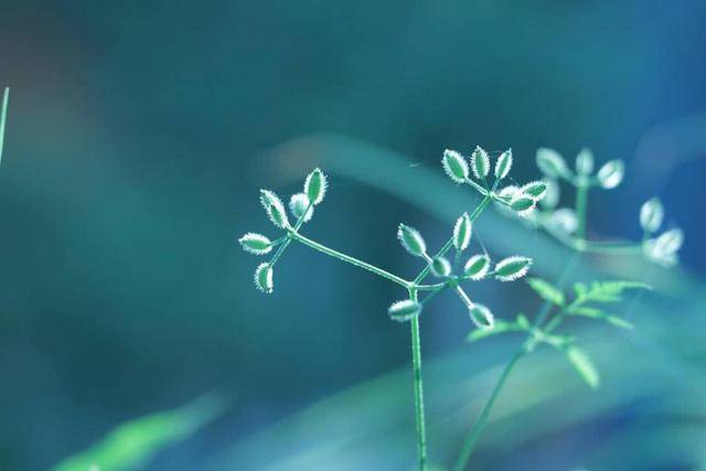 
10月1日“十大外围足球平台app”(图5)