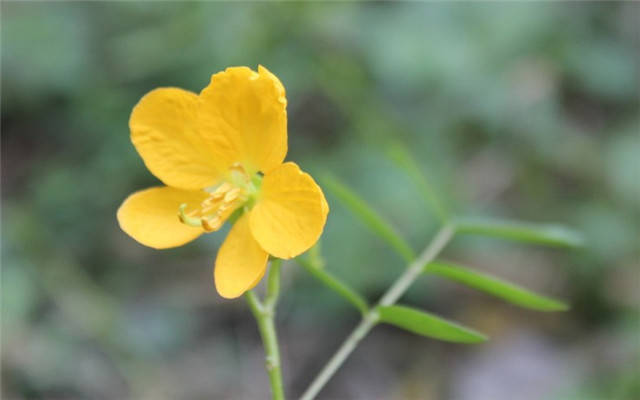 
10月1日“十大外围足球平台app”(图7)