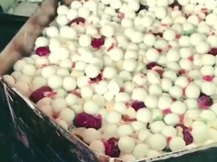 2014年品牌连锁与转型升级(苏州)峰会圆满举办_十大外围足球平台app(图2) 十大外围足球平台app