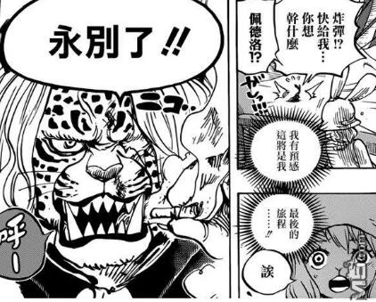 十大外围足球平台app