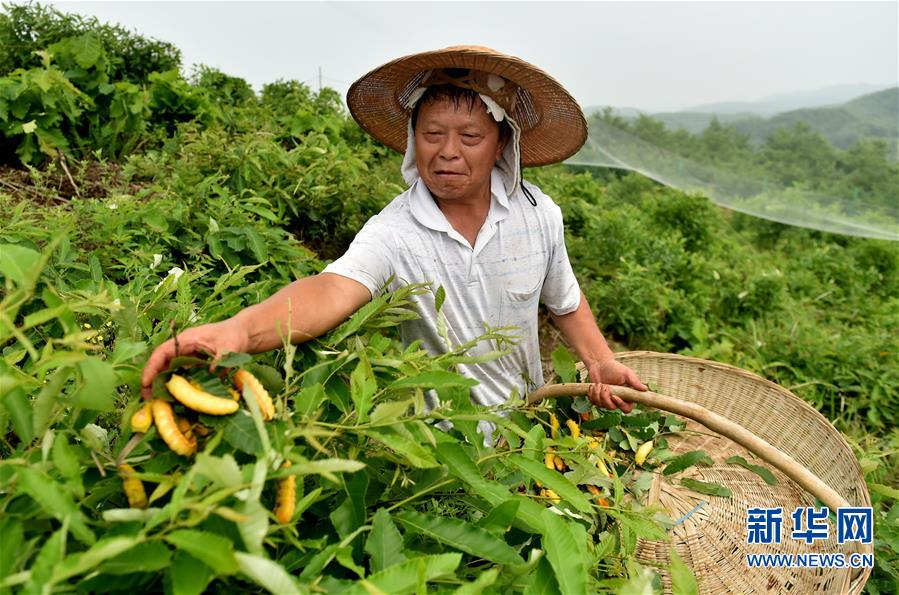 十大外围足球平台app
