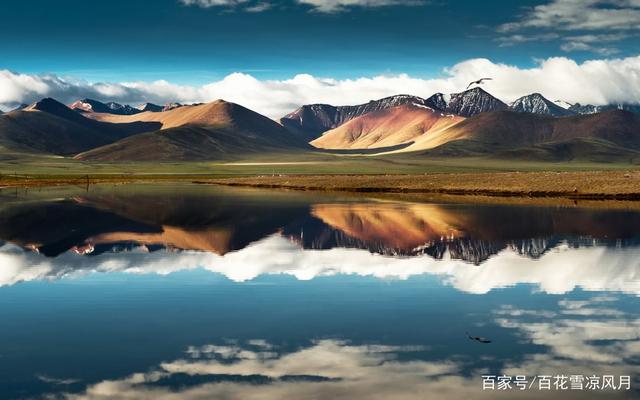 十大外围足球平台app_
江南春:广告是伟大的!央视广告10亿人看3遍我1亿人看30遍!(图2) 十大外围足球平台app