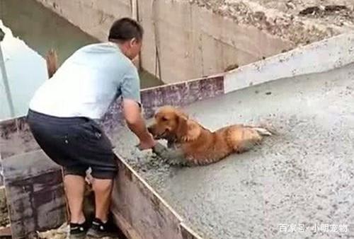 十大外围足球平台app