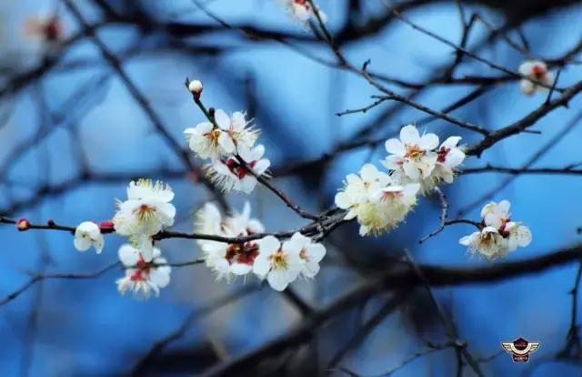 十大外围足球平台app-爱奇艺世界杯大数据下的秘密(图4) 十大外围足球平台app